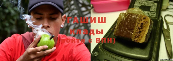 индика Верхний Тагил