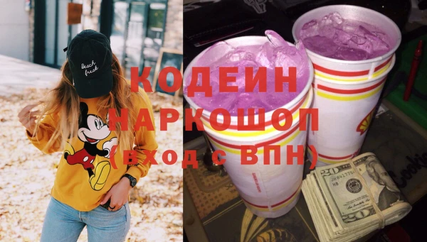 индика Верхний Тагил