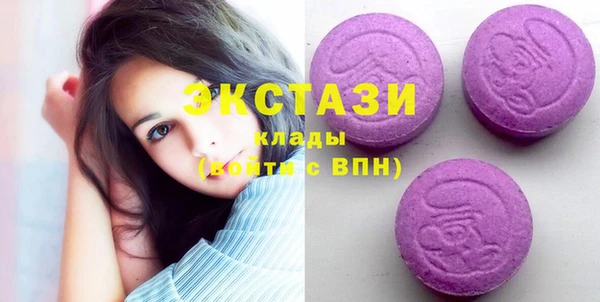 индика Верхний Тагил