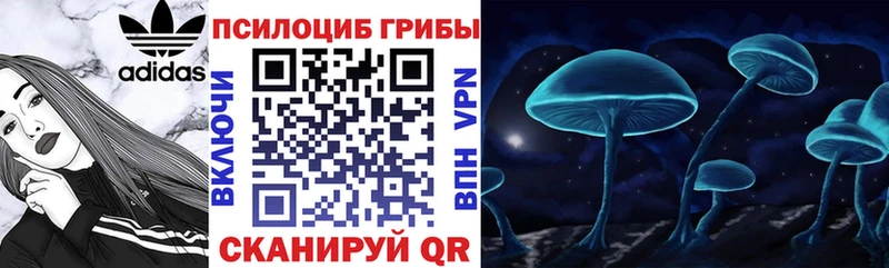 Купить где  Дагестанские Огни  Галлюциногенные грибы мухоморы 